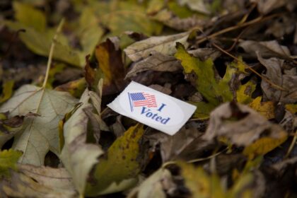 7 Common Myths About Voter Turnout Debunked – What Really Matters