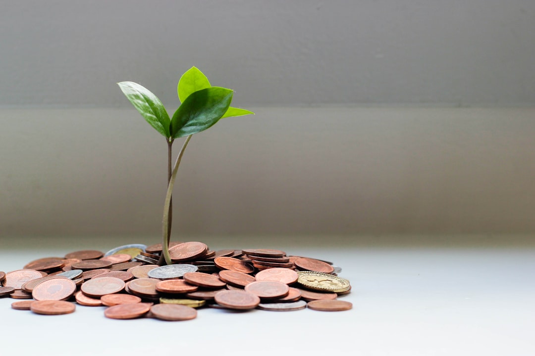 Why ESG Investments Are Worth It: How Small Businesses Benefit from Sustainability