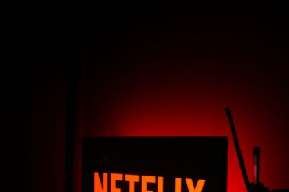 Why Some Netflix Shows Get Canceled After One Season: 3 Industry Secrets