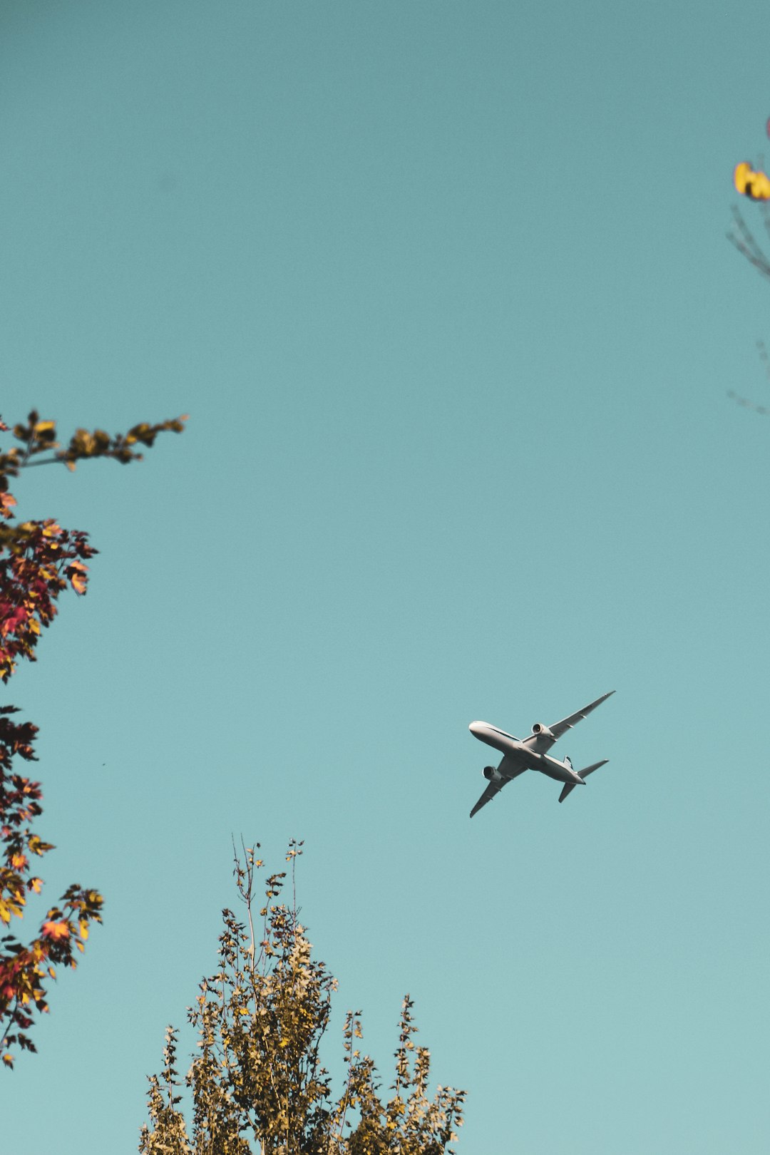 The Best Time to Book Flights: Data-Backed Strategies for Every Season
