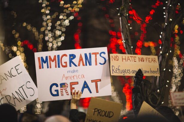 How Immigration Policies Shape Cultural Identity: 3 Real-World Cases