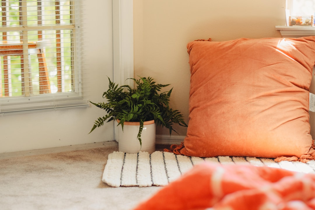 Easy Ways to Make Your Home Feel Cozy Without Spending a Fortune