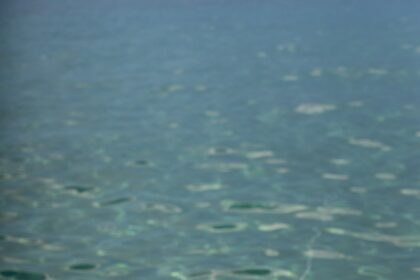 What to Do When Your Cash Flow Is Tight: Practical Steps to Stay Afloat