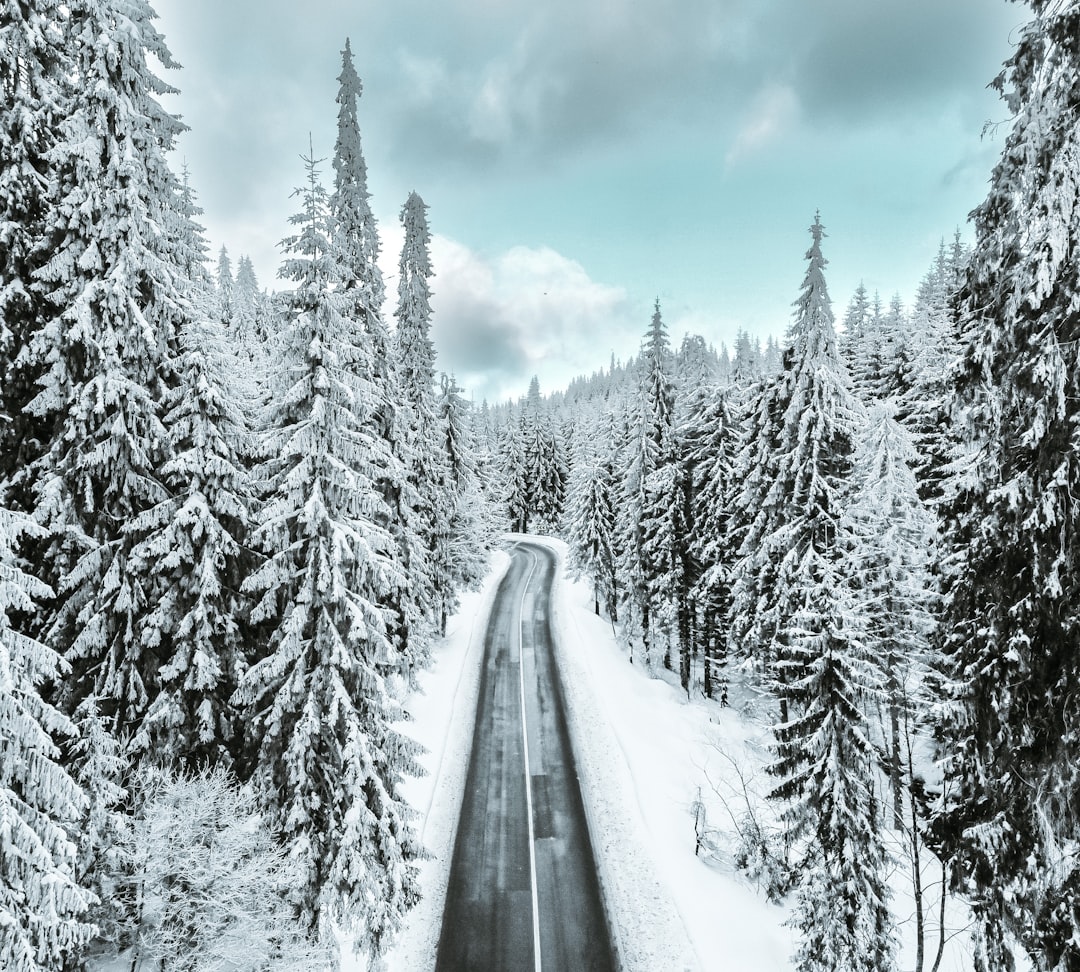 How to Travel During Peak Season Without the Stress or High Prices